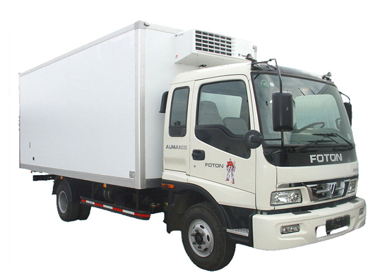 Foton 1099